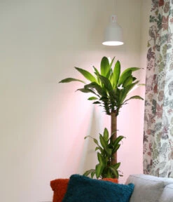 Venso Lampenschirm Saga Für Pflanzenlampe 9 Venso Lampenschirm Saga Für Pflanzenlampe -Gartenbedarfsgeschäft 4179578 WE MO 003 LampenschirmSagaWeissfuerPflanzenlampe