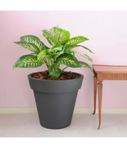 Farmet Kunststoff-Topf-Set Pegasus, Konisch, Anthrazit, 2-teilig -Gartenbedarfsgeschäft 4185690 WE DE 002 PEGASUSKonischerPflanzkuebelDurchmesser50cm46cmhochDUNKELANTHRAZIT