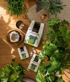 LECHUZA® PON Pflanzensubstrat -Gartenbedarfsgeschäft 4191144 3679685 4191342 WE MO 003 LechuzaPonSubstrat