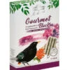 Dehner Natura Premium Wildvogelfutter Gourmet Blocks Mit Vogelbeeren -Gartenbedarfsgeschäft 4206926 WE FS 001 DehnerNaturaWildvogelfutterGourmetBlocksVogelbeeren