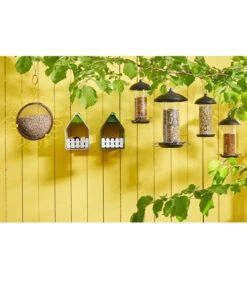 Dehner Natura Wildvogelsnack Getrocknete Mehlwürmer -Gartenbedarfsgeschäft 425595 WE M 002 NaturaGetrockneteMehlwuermer80g