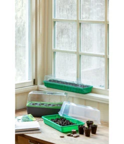 Romberg BoQube Gewächshaus 19 Romberg BoQube Gewächshaus -Gartenbedarfsgeschäft 4299970 WE MO 004 BoQubeZimmergewaechshaus