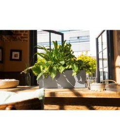 LECHUZA® Kunststoff-Kasten Balconera Stone -Gartenbedarfsgeschäft 4318606 WE MO 001 LechuzaKunststoffBalkonkastenBalconeraStonePflanzkastenBlumenkasten