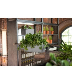 LECHUZA® Kunststoff-Kasten Balconera Stone -Gartenbedarfsgeschäft 4318606 WE MO 002 LechuzaKunststoffBalkonkastenBalconeraStonePflanzkastenBlumenkasten