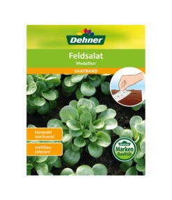 Dehner Samen-Set Easy Going -Gartenbedarfsgeschäft 4322590 WE FS 005 DehnerSamenSaatgutSaemereienSetEasyGoing