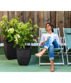 Dehner Strandstuhl Aruba -Gartenbedarfsgeschäft 4418422 WE MO 002 StrandstuhlArubaNeu