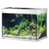 EHEIM Aquarium ProximaTEC 175 -Gartenbedarfsgeschäft 4428967 WE FS 001 EheimAquariumAQSetProximaTec175
