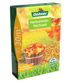 Dehner Herbstrasen-Nachsaat