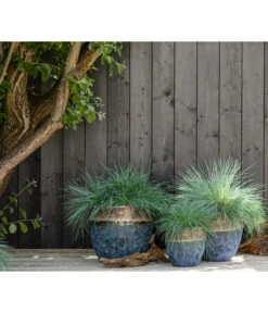 Dehner Keramik-Topf Mystras, Rund, Blau-braun 9 Dehner Keramik-Topf Mystras, Rund, Blau-braun -Gartenbedarfsgeschäft 4441317 4441341 4441408 WE MO 002 DehnerKeramikTopfMystrasrundblaubraun