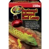 ZooMed Terrariumbeleuchtung Nocturnal Infrared Heat Lamp -Gartenbedarfsgeschäft 4464103 WE FS 001 ZooMedTerrariumbeleuchtungNocturnalInfraredHeatLamp150W