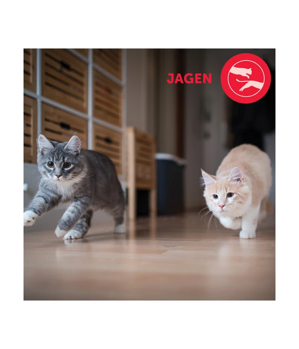 FELIWAY® Alltagshelfer Friends Start-Set 4 FELIWAY® Alltagshelfer Friends Start-Set – Bild 2