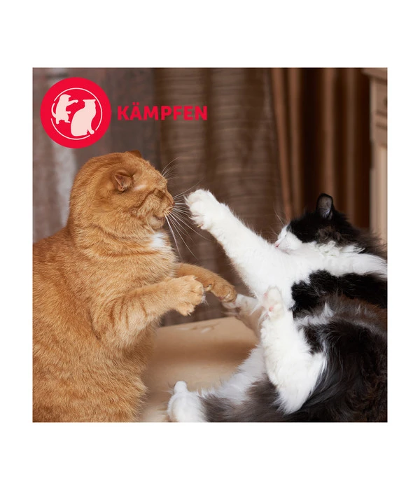 FELIWAY® Alltagshelfer Friends Start-Set 5 FELIWAY® Alltagshelfer Friends Start-Set – Bild 3