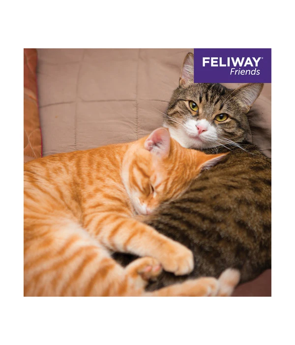 FELIWAY® Alltagshelfer Friends Start-Set 9 FELIWAY® Alltagshelfer Friends Start-Set – Bild 7