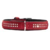 HUNTER® Hundehalsband Softie Deluxe, Rot/schwarz