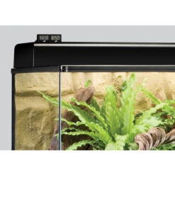 Exo Terra® Digitales Hygrometer -Gartenbedarfsgeschäft 5398730 WE D 002 DigitalHygrometer