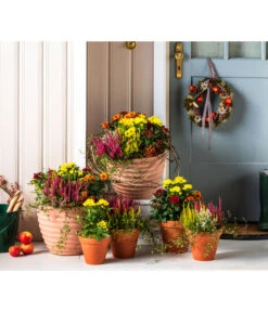 Vasar Kunststoff-Topf Murano 7 Vasar Kunststoff-Topf Murano -Gartenbedarfsgeschäft 6138028 WE MO 001 KranzApfel Herbst