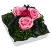Dehner Keramik-Schale Mit Longlife-Rose Zina, Ca. B9,5/H6 Cm 1 Dehner Keramik-Schale Mit Longlife-Rose Zina, Ca. B9,5/H6 Cm -Gartenbedarfsgeschäft 6380927 WE FS 003 LLSchaleZinaROSA