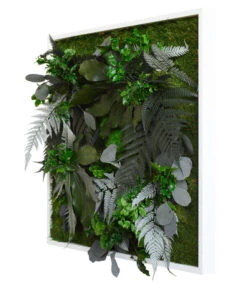 StyleGREEN Bild Aus Wald- Und Kugelmoos, Quadratisch, Ca. B55/H55/T17 Cm -Gartenbedarfsgeschäft 6429815 WE FS 002 Pflanzenbild55x55cm