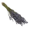 Trockenblumenbund Lavendel -Gartenbedarfsgeschäft 6491682 PR FS 001 LavendeltiefblauBund DehnerExpressHerzig