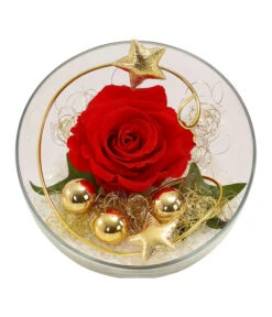 Longlife-Rose, Ca. Ø3 Cm 9 Longlife-Rose, Ca. Ø3 Cm -Gartenbedarfsgeschäft 6592539 WE FS 001 LongLifeRoseRotinGlaskugel