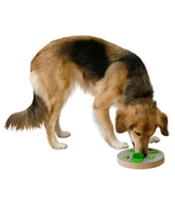 KERBL Hunde-Denk- & Lernspielzeug Face, Ca. Ø23/H4 Cm 7 KERBL Hunde-Denk- & Lernspielzeug Face, Ca. Ø23/H4 Cm -Gartenbedarfsgeschäft 6603583 WE MO 001 LernspielzeugFace