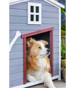 Dehner Lieblinge Hundehütte Hector, Ca. B96,5/H103/T79 Cm -Gartenbedarfsgeschäft 6607287 WE MO 003 DehnerLieblingeHundehausHector