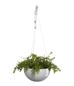 Ecopots Kunststoff-Hängeampel Brussels, Rund, Ca. Ø26,5/H13 Cm -Gartenbedarfsgeschäft 6614606 WE FS 002 EcopotsKunststoffHaengeampelBrusselsrund