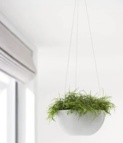 Ecopots Kunststoff-Hängeampel Brussels, Rund, Ca. Ø26,5/H13 Cm -Gartenbedarfsgeschäft 6614606 WE MO 001 EcopotsKunststoffHaengeampelBrusselsrund