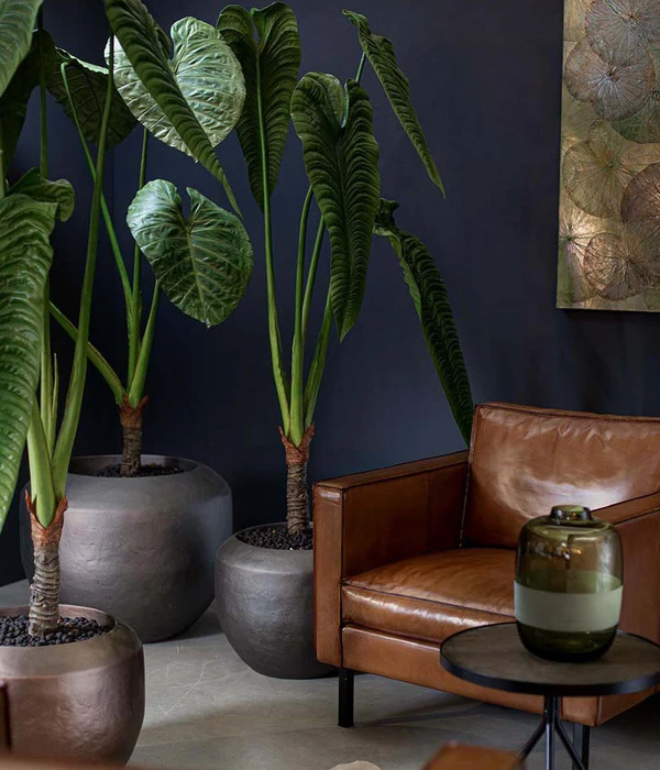 Fleur Ami Kunststoff-Topf New Loft, Konisch 4 Fleur Ami Kunststoff-Topf New Loft, Konisch – Bild 2