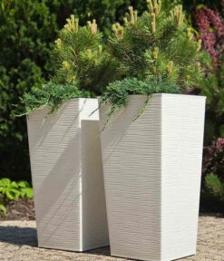 Siena Garden Kunststoff-Säule ECO Nizza, Konisch, Ca. B30/H57/T30 Cm -Gartenbedarfsgeschäft 6655385 WE MO 001 PflanzgefaessNizza30Weiss