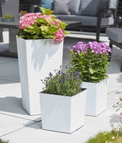 Siena Garden Kunststoff-Säule ECO Nizza, Konisch, Ca. B30/H57/T30 Cm -Gartenbedarfsgeschäft 6655385 WE MO 003 PflanzgefaessNizza30Weiss