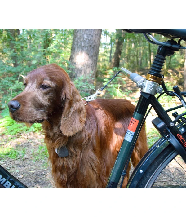 Dobar Petlife Fahrradleine Walky Dog Plus 5 Dobar Petlife Fahrradleine Walky Dog Plus – Bild 3