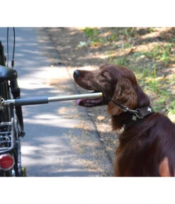 Dobar Petlife Fahrradleine Walky Dog Plus 10 Dobar Petlife Fahrradleine Walky Dog Plus -Gartenbedarfsgeschäft 6689699 WE MO 003 DobarHZbhWalkyDogPlusFahrradstangeLeine