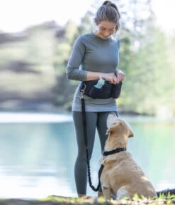 Dehner Lieblinge Joggingtasche Mit Hundeleine Hands Free -Gartenbedarfsgeschäft 6690978 WE MO 002 DehnerLieblingeJoggingleine