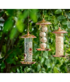 Dehner Natura Meisenknödelsäule Joelle -Gartenbedarfsgeschäft 6733745 6735765 6735773 WE M 001 NaturaKupferFutteraeule 1