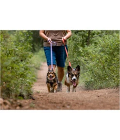 RUFFWEAR® Hundeleine Front Range™, 1.5 M -Gartenbedarfsgeschäft 6735971 WE MO 002 RWFrontRangeLeashPurpleSage