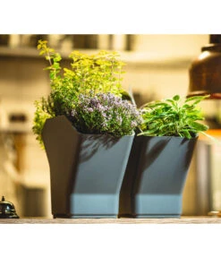 Kunststoff-Pflanzbaum-Set, Grau, Ca. B31,3/H77,3/31,3 Cm -Gartenbedarfsgeschäft 6739528 WE MO 001 KunststoffPflanzbaumSetgrau