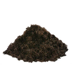 Dehner Green Nature Universal-Erde, 48 X 40 Liter -Gartenbedarfsgeschäft 6759815 WE DE 002 DehnerGreenNatureUniversalErde18l