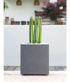 EDA-plastiques Kunststoff-Topf Graphit, Gerillt -Gartenbedarfsgeschäft 6763643 WE MO 003 PflanztopfGrap40x40