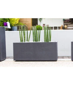 EDA-plastiques Kunststoff-Kasten Graphit, Anthrazit, Ca. B99,5/H43,5/T39,5 Cm -Gartenbedarfsgeschäft 6763908 WE MO 001 PflanzkastenGrap100cm