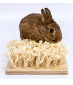 Bunny® NATURE By Puppijames Nagerspielzeug Schnüffelbrett, Ca. B24,5/H9/T24,5 Cm -Gartenbedarfsgeschäft 6777643 WE M 002 bunnyNagerSchnueffelbrett