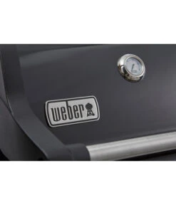 Weber Gasgrill Spirit E-315 GBS -Gartenbedarfsgeschäft 6778161 WE DE 002 SpiritE315GBS