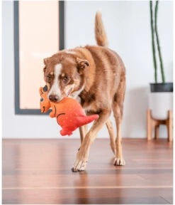 Red Dingo Hundespielzeug DURABLES Toys Känguru -Gartenbedarfsgeschäft 6912398 WE MO 002 RedDingoSpzKanguru