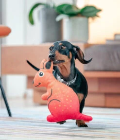 Red Dingo Hundespielzeug DURABLES Toys Känguru -Gartenbedarfsgeschäft 6912398 WE MO 003 RedDingoSpzKanguru