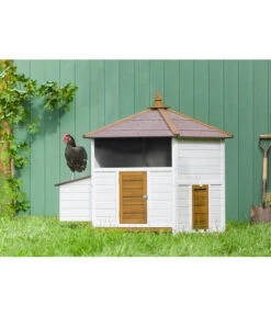 Dehner Hühnerstall Florenz Mit Freilauf, Weiß/braun, Ca. B224,3/H120,7/T91,7 Cm -Gartenbedarfsgeschäft 6919625 6919609 WE MO 012 DehnerMarkenqualitaetHuehnerstallFlorenzFreigehege 1