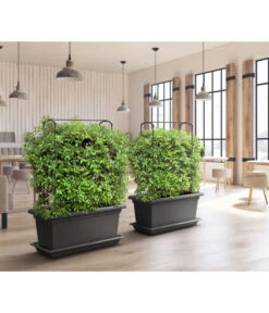 Magnus Kunststoff-Blumenkasten, Rechteckig. Ca. B98/H37/T38 Cm -Gartenbedarfsgeschäft 6997449 WE MO 001 MagnusKunststoffBlumenkastenschwarz