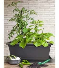 Magnus Kunststoff-Blumenkasten, Rechteckig. Ca. B98/H37/T38 Cm -Gartenbedarfsgeschäft 6997449 WE MO 003 MagnusKunststoffBlumenkastenschwarz