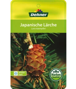 Japanische Lärche -Gartenbedarfsgeschäft 7261548 JapanischeLaerche Etikett 1