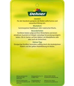 Japanische Lärche -Gartenbedarfsgeschäft 7261548 JapanischeLaerche Etikett 2