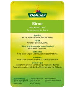 Winterbirne 'Alexander Lucas' -Gartenbedarfsgeschäft 7602709 BirneAlexanderLucas Etikett 2